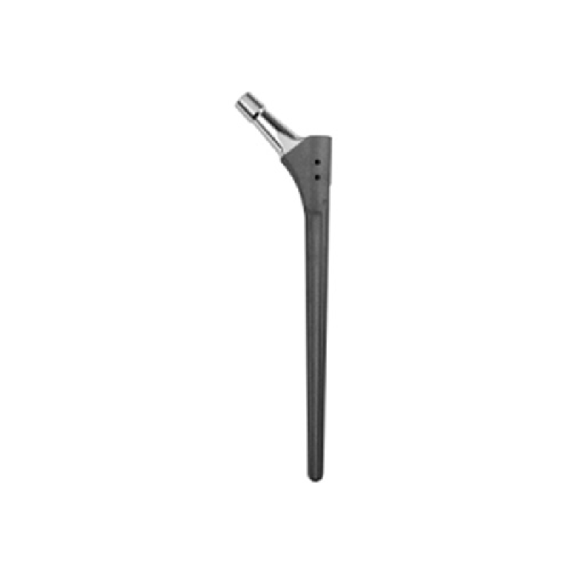 WE - FinL Revision Femoral Stem