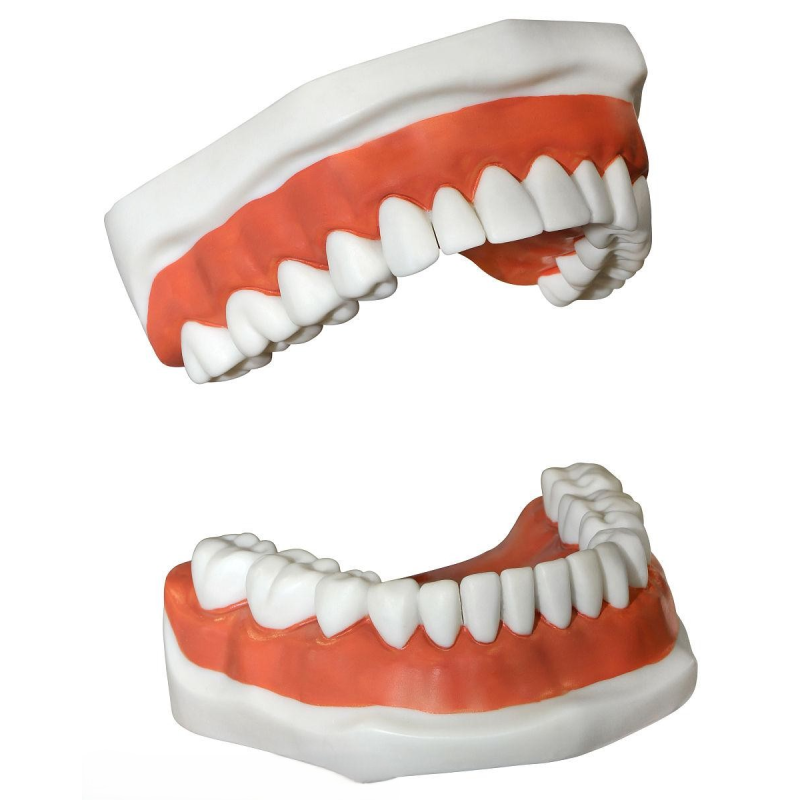 Denture Materials