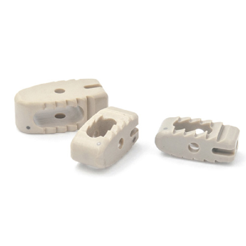 Milestone Lumbar Fusion Device