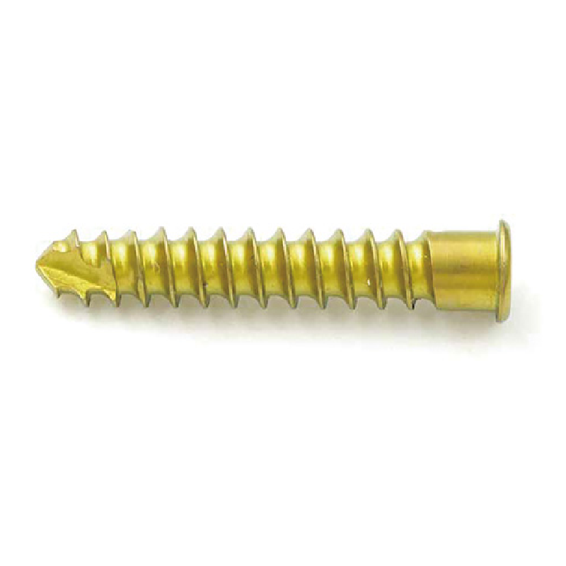 Metal Bone Screw 3.5 (Flat Head) (T)